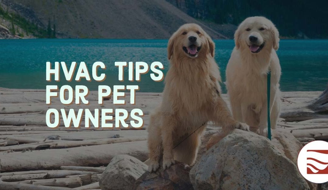 HVAC Maintenance for Pet Owners