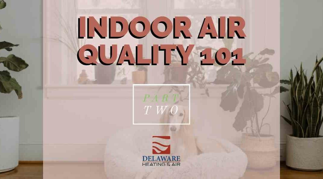 Indoor Air Quality 101 -Part 2: What’s floating around in the air you breathe?